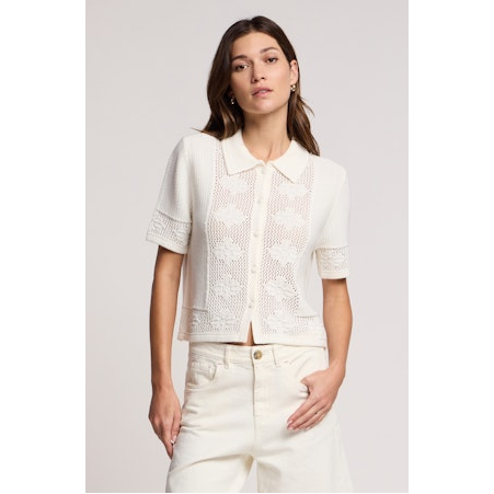 Velvet by Graham and Spencer Rosemond Top in Milk