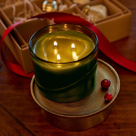 Thymes Frasier Fir Green 3 Wick Candle