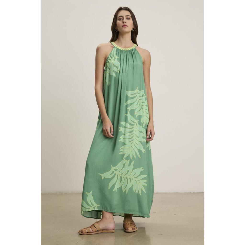 Velvet by Graham & Spencer Odessa Cotton Palmetto Dress in Green