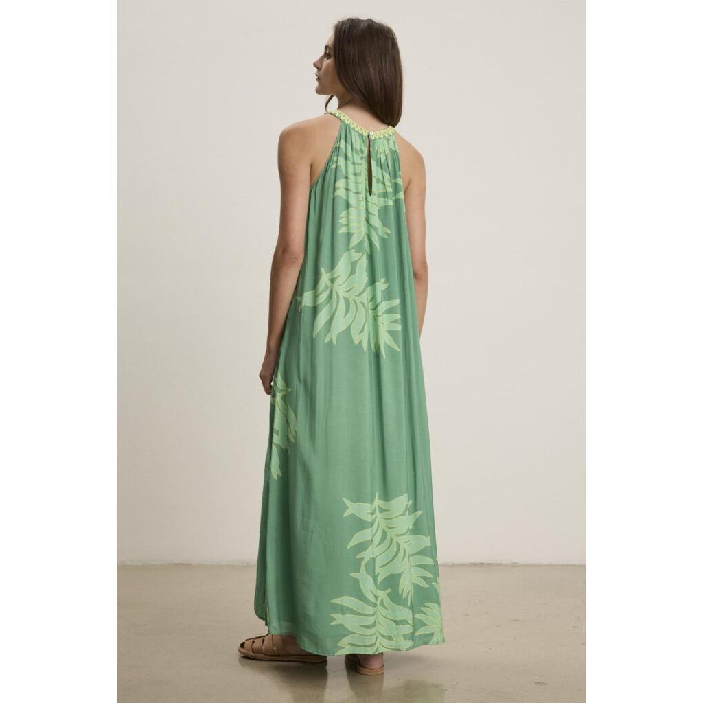 Velvet by Graham & Spencer Odessa Cotton Palmetto Dress in Green