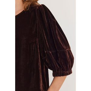 Velvet by Graham & Spencer Nancy Silk & Velvet top in Burlwood