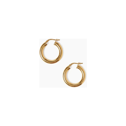Chan Luu Gold Token Hoops